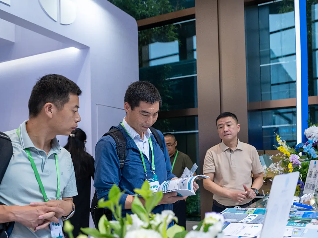 1764137427273209.png 9.png